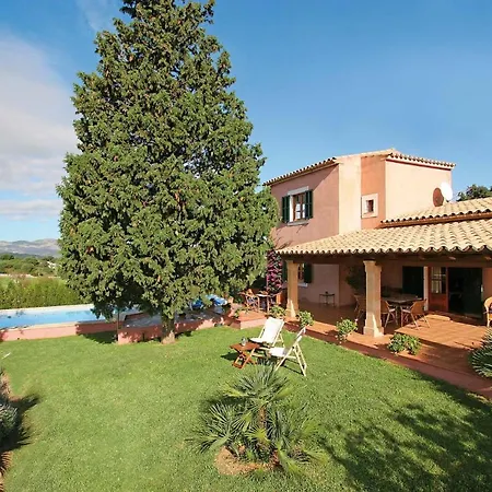 L'alzina Pollenca
